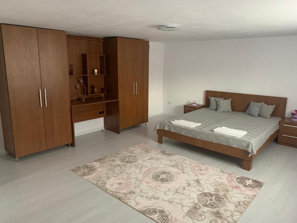 Casa Deac Apartment Sebes  Exterior photo