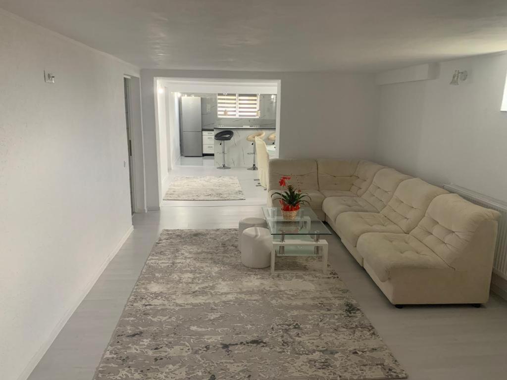 Casa Deac Apartment Sebes  Exterior photo