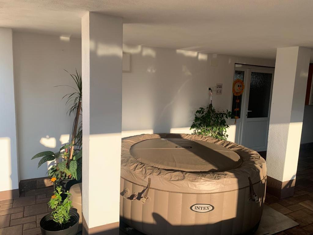 Casa Deac Apartment Sebes  Exterior photo